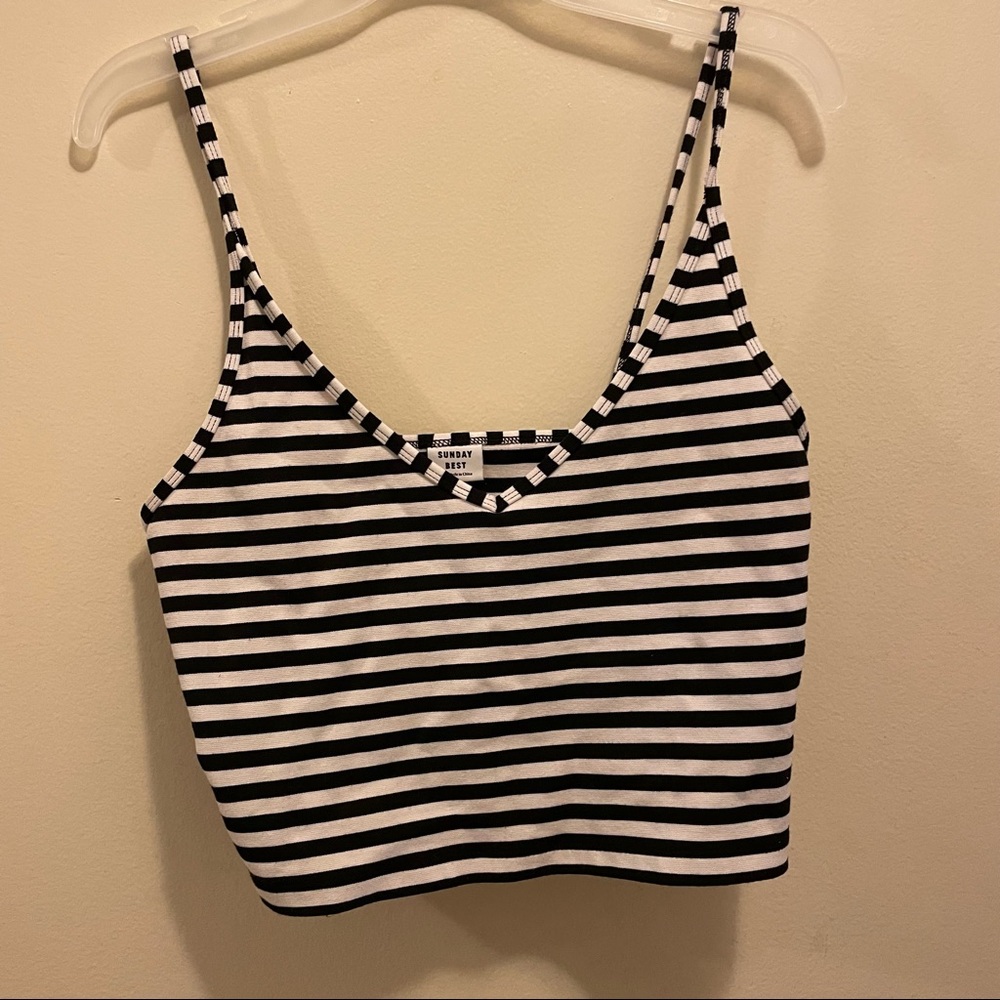 Striped Aritzia Crop Top